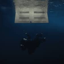 Wildflower – Cover